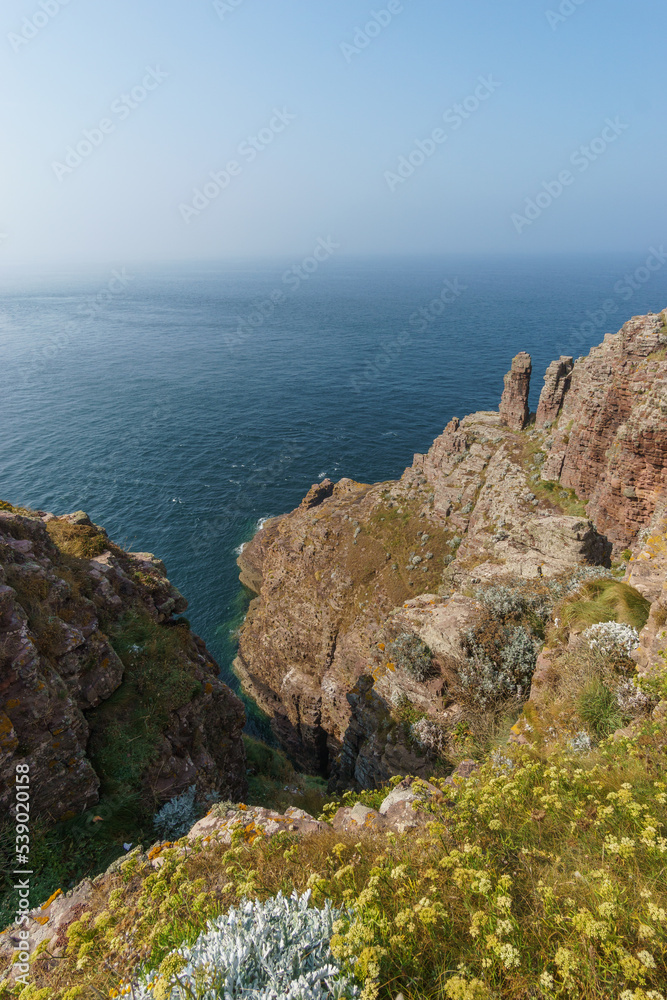 Beautiful coast with rock formations at the atlantic ocean and heather flowers in the foreground, Cote d'Amour, Cap Frehel, Bretagne, France