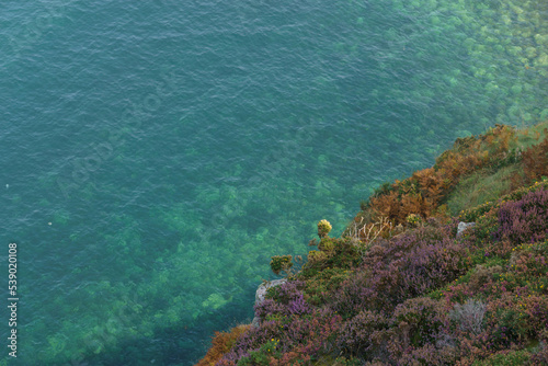turquoise water at the coast of cap frehel with heather covered landscape, Cote d'Amour, Brittany, France