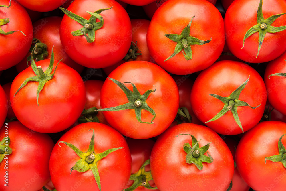 Full frame background pattern of fresh tomatoes, close up, high angle view