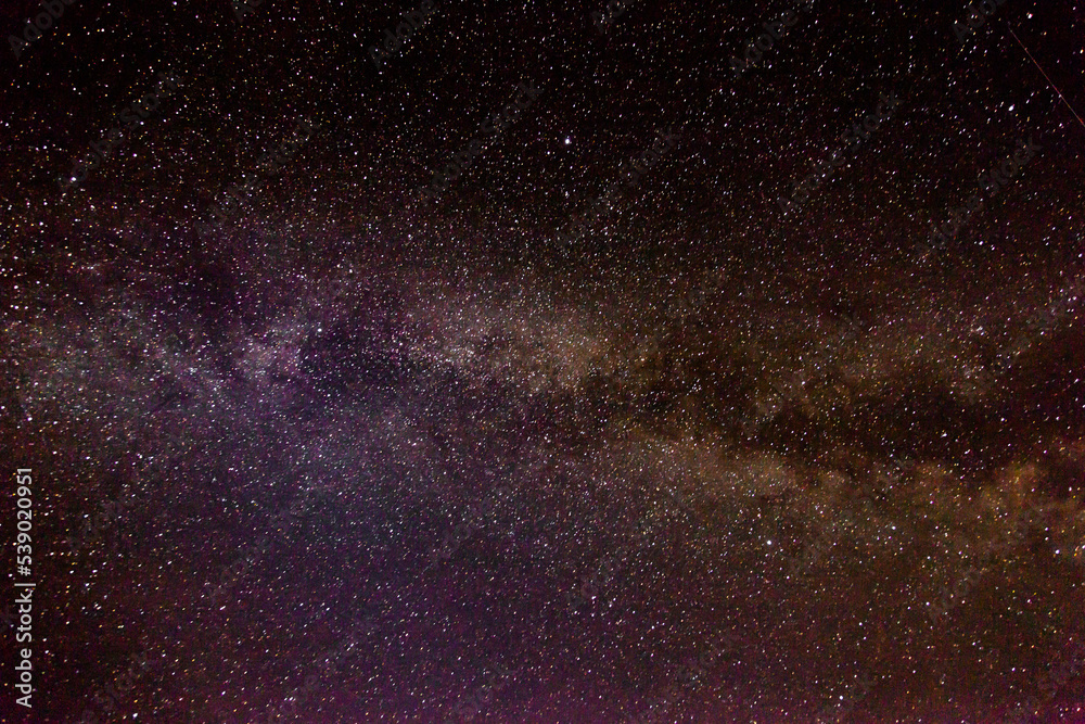 Fototapeta premium Starry sky at night in the countryside. Milky Way.