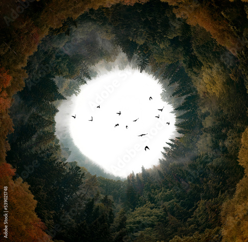 Canvas Print circle lanscape - foggy dark forest and birds