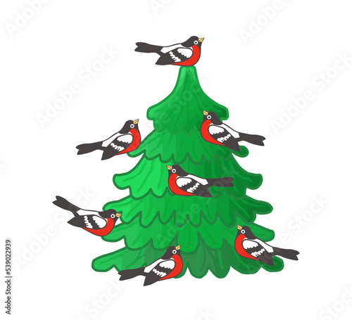 Christmas tree and bullfinches, birds sit on a tree, color drawing, on a transparent background, for design and printing