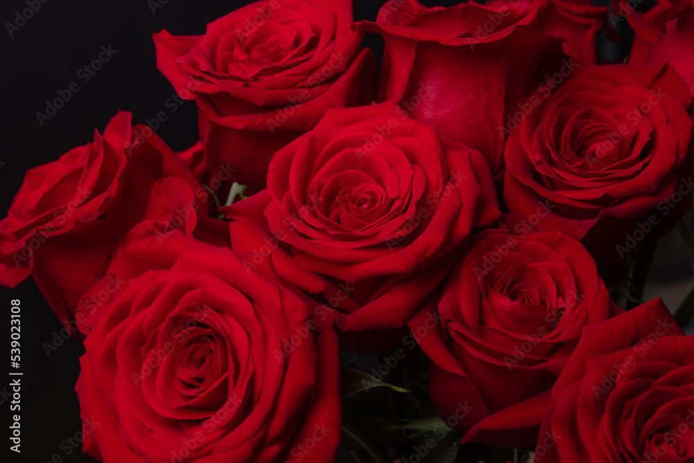 The red roses for the Valentine The red roses for the Valentine
