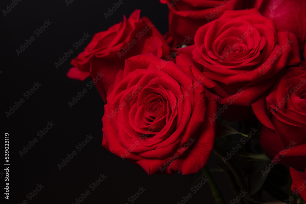 The red roses for the Valentine 