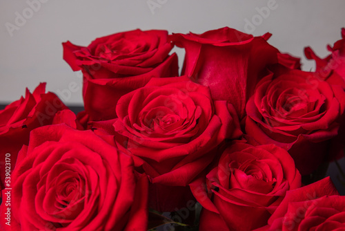 The red roses for the Valentine 