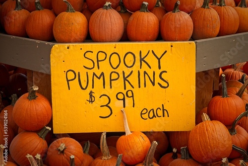 Spooky Pumpkins