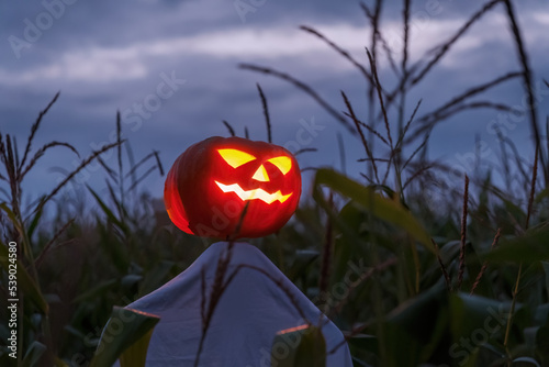 A scarecrow with a glowing pumpkin head in a night corn field. Creepy Halloween concept.