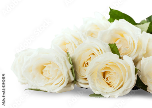 Fototapeta Naklejka Na Ścianę i Meble -  Bouquet of White Roses on Grey Background