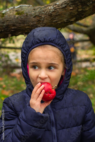 A little girl in a blue jacket eats a red apple in the rain in autumn