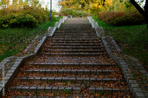 stairs in the park