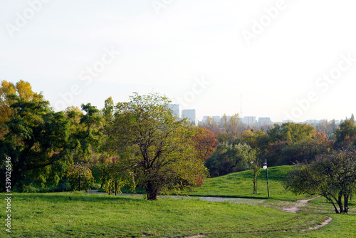 autumn landscape with trees