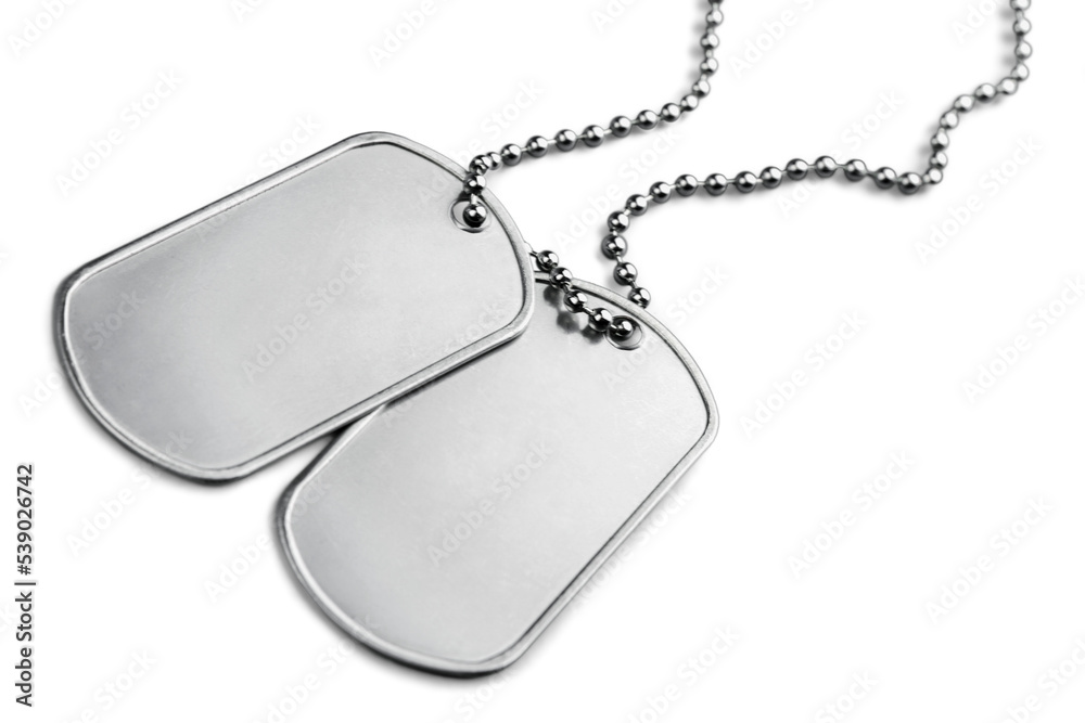Fototapeta premium Blank Dog Tags