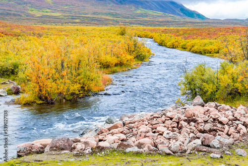 Autum creek along the Denali Highway in Alaska