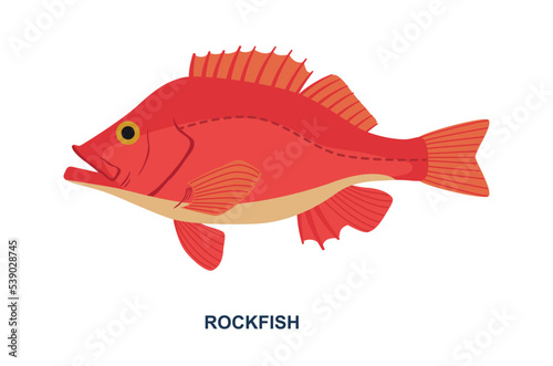 River or sea fish. Poster with beautiful red fish and inscription. Rockfish with bright scales. Design element for online supermarket. Cartoon flat vector illustration isolated on white background