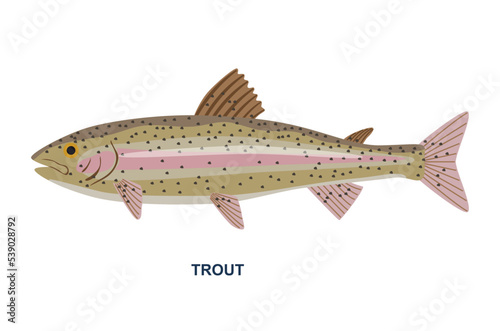 River or sea fish. Poster with sea animal or delicious seafood. Spotted trout with pink lines on body. Design element for restaurant menu. Cartoon flat vector illustration isolated on white background