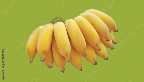 Vector illustration of a bunch of fresh bananas on a green background