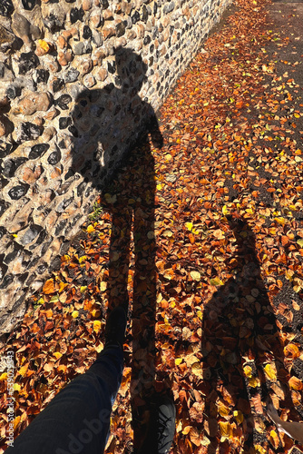 Autumn leaves and an interesting textured wall with a shadow of a person walking a dog.