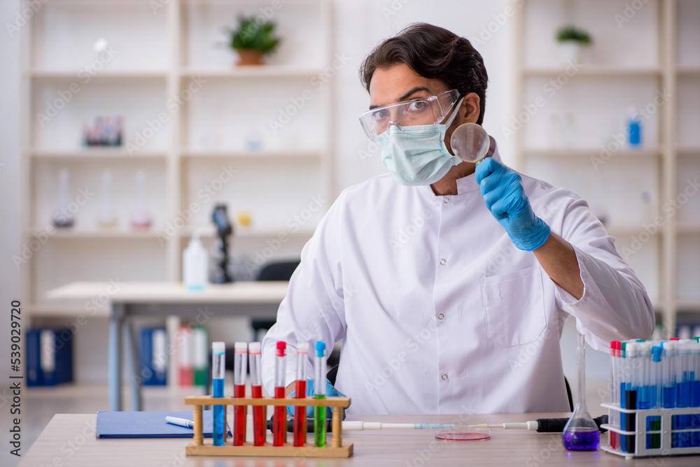Young male chemist working at the lab Young male chemist working at the lab