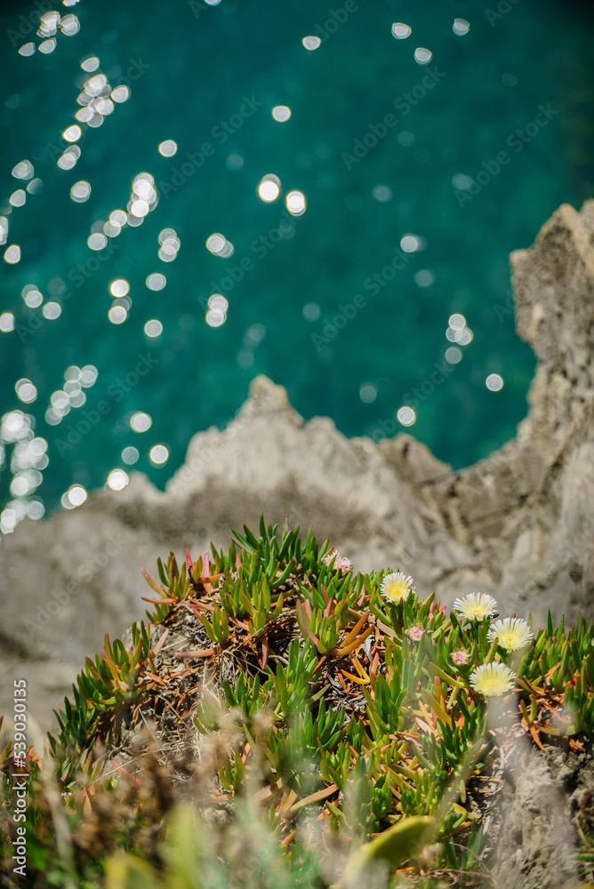 Obraz premium Rough ocean with waves and rocks landscape