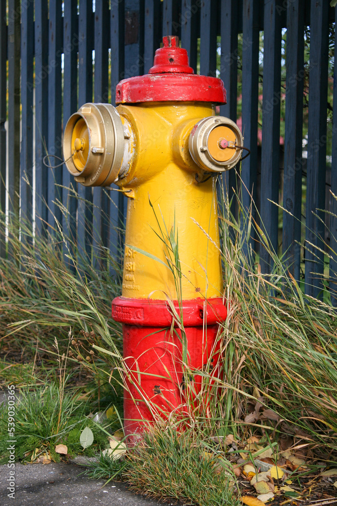 Reykjavik, Iceland - September 19 2011 - A bright yellow and red fire hydrant against a blue fence in Reykjavik, Iceland.  Image has copy space.