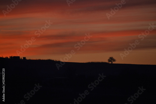 silhouette of a person