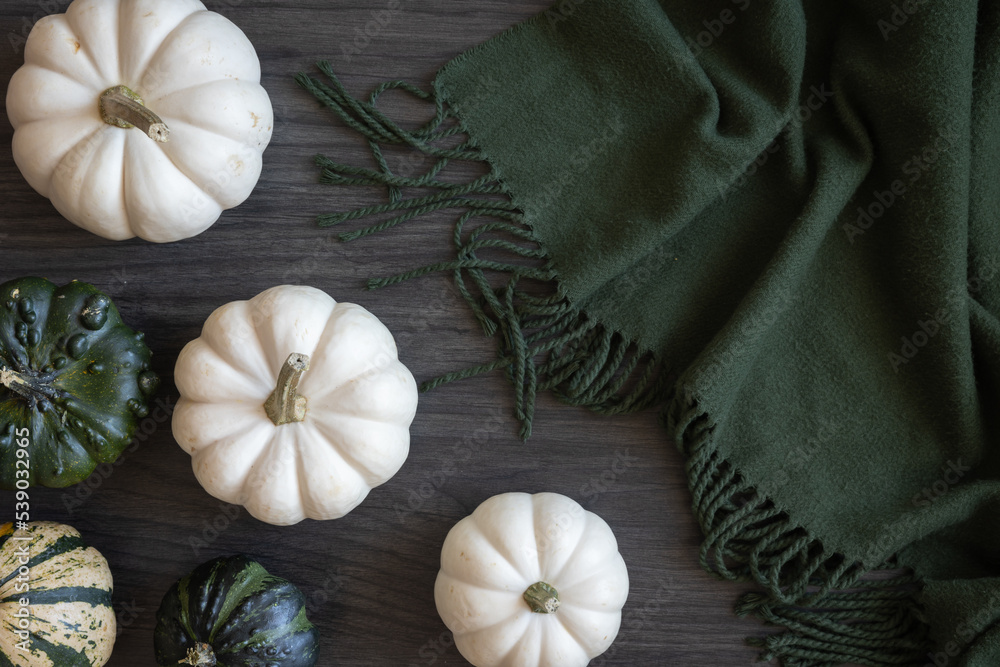 Fototapeta premium White and green gourds with a cozy green blanket all on a dark wood background with copy space