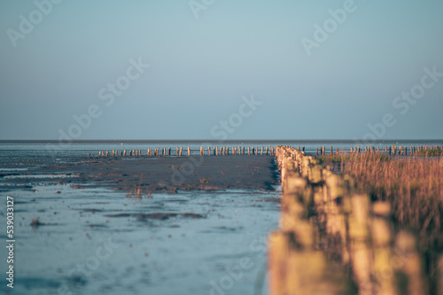 Mudflats at low tide in Friedrichskoog, Germany. High quality photo photo