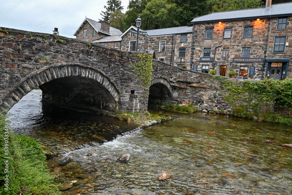 Fototapeta premium the bridge