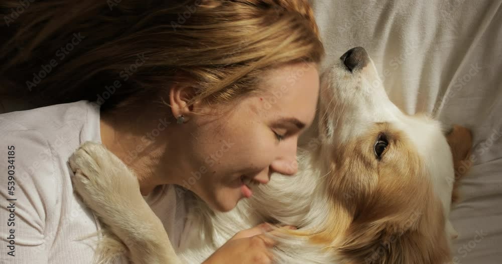 top view of Close up very tender portrait of smiling young women huggin red dog puppy Border Collie in bed. white sheets and tshort. morning light. top view of Close up very tender portrait of smiling young women huggin red dog puppy Border Collie in bed. white sheets and tshort. morning light.