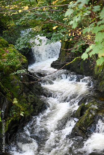 waterfall in the forest