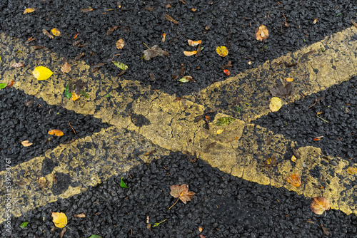 wet, autumn asphalt with yellow dividing stripes and colorful autumn leaves. High quality photo