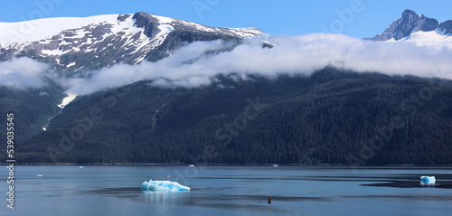 Alasca summer scenery in the Tracy Arm Fjord photo