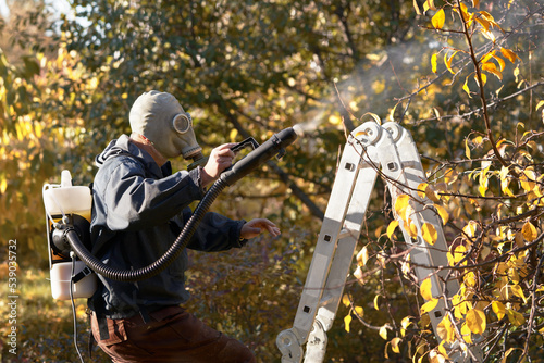 Autumn garden treatment using a cold fog generator. A man in a gas mask sprays an aerosol on a pear tree. Selective focus.