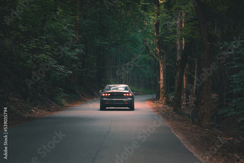 The car drives through a dense dark forest.