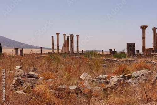 Sunlit pieces of ruins of Volubilis city indoors, in sky background, Morocco