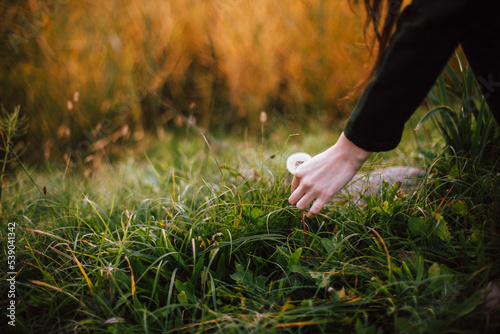 Young woman picking dandelion in park during autumn