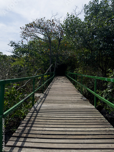 Wooden bridge that gives access to the pier at Lagoa de Marapendi. Vegetation and the lake around. Reserva beach in Rio de Janeiro