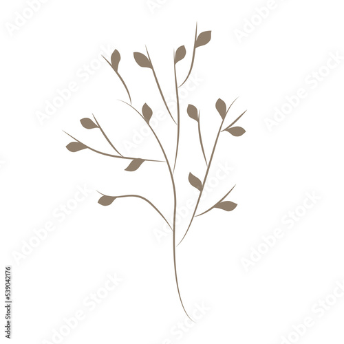 Decorative element of foliage  monochrome plant silhouette  doodles