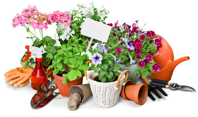 Close-up Gardening Equipment and plants on wooden table