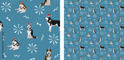 Seamless dog pattern, winter Christmas texture. Square format, t-shirt, poster, packaging, textile, socks, textile, fabric, decoration, wrapping paper. Trendy hand-drawn husky dogs, Siberian breed.