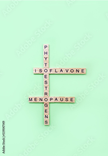 Word Phytoestrogens, Isoflavone and Menopause on wooden blocks with letters. The concept of dietary supplements for the treatment of menopause. Vertical banner photo