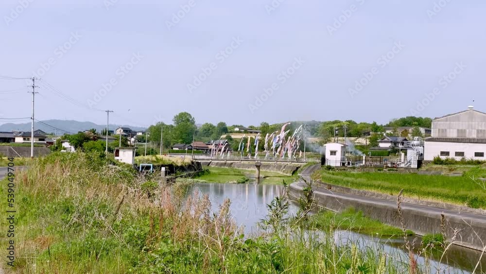 河川敷の鯉のぼり　橋を渡る自動車