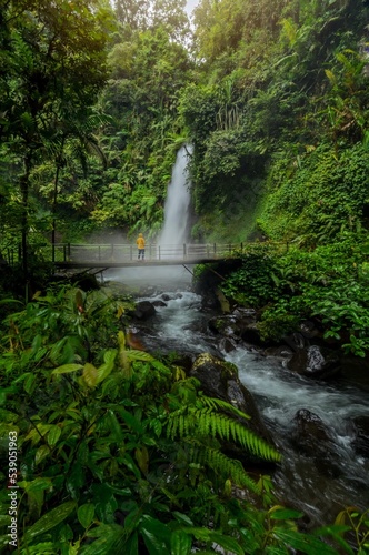 waterfall in the forest