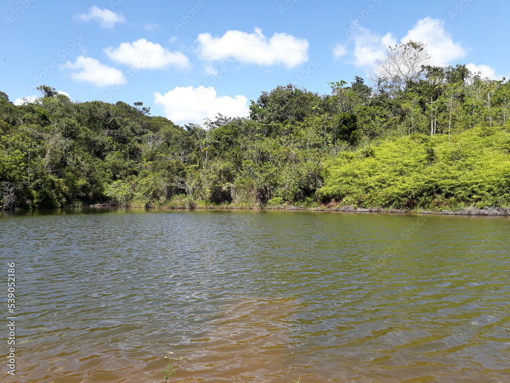 represa de peixes de água doce mata atlântica represa de peixes de água doce mata atlântica