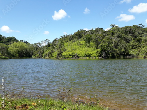 lagoa de peixes na mata atlântica photo