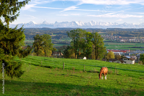 Idyll Swiss landscape of green valley with distance mountain range. Horse grazing on the pasture, countryside in Switzerland. photo