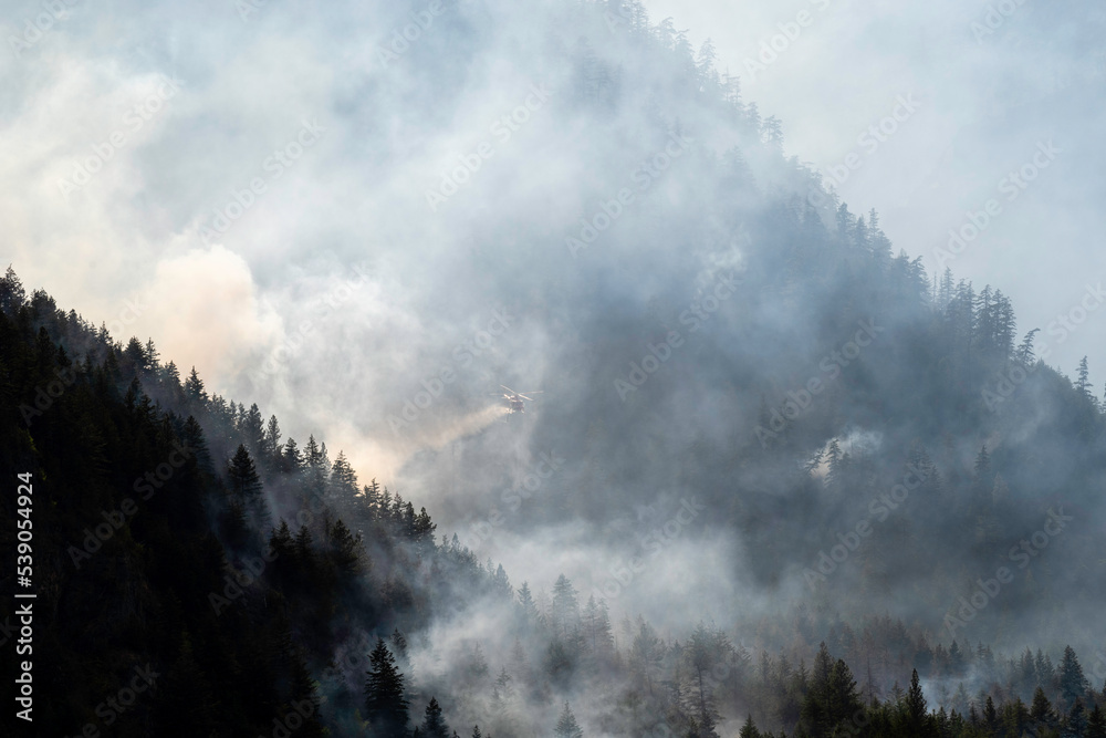 Nohomin Creek Forest Fire