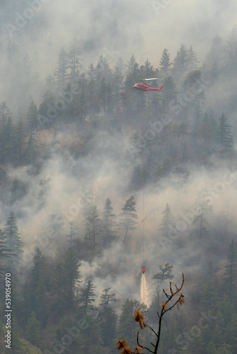 Nohomin Creek Forest Fire
