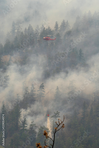 Nohomin Creek Forest Fire