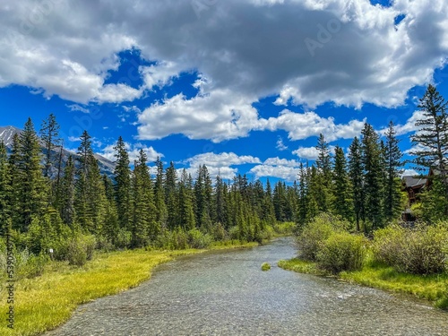 Scenic view of the Bow river flowng though spruce forests in Banff national park, Alberta photo